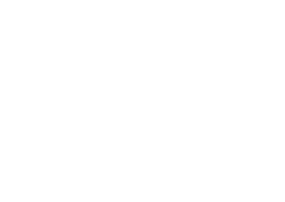 Fridays For Future